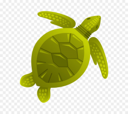 Turtle Aquatic animal Sea Clip art - Marine life,Sea creatures