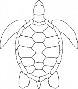Turtle Outline Clip Art at Clker.com - vector clip art ...