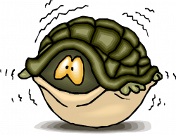 28+ Collection of Shy Turtle Clipart | High quality, free cliparts ...