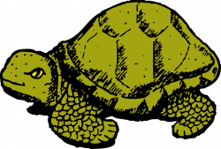 Tortoise Clipart cool turtle - Free Clipart on Dumielauxepices.net