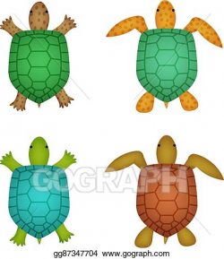 Vector Art - Turtle and tortoise in realistic style, top ...