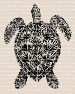 Sea Turtle Clip Art – Beach Clip Art – Turtle Illustration ...