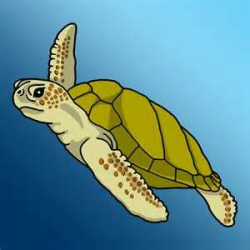 turtle Clip Art - Bing Images | cane ideas | Cartoon ...