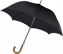 Umbrella - Alchetron, The Free Social Encyclopedia