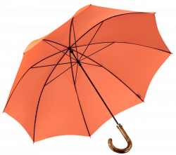 Cad & The Dandy | Gentleman's Walking Umbrella - Orange - Cad & The ...