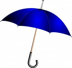 Umbrella Transparent PNG Pictures - Free Icons and PNG Backgrounds