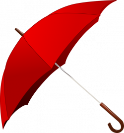 Picture Of Umbrella Image Group (20+)