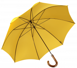 Cad & The Dandy | Gentleman's Walking Umbrella - Yellow - Cad & The ...