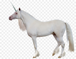 Unicorn Cartoon clipart - Unicorn, Horse, transparent clip art