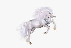 Beautifu Unicorn 3d Clipart - Unicorn With Transparent ...