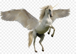 Unicorn Cartoon clipart - Unicorn, Horse, Feather ...