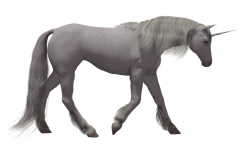 Unicorn PNG images free download