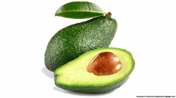 14 Great Avocado Fruit Clipart Free Download - Fruit Names A-Z With ...