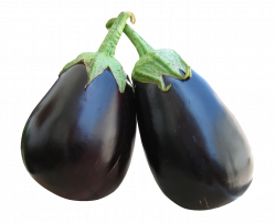 Eggplant PNG Image - PurePNG | Free transparent CC0 PNG Image Library
