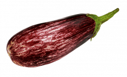 purple eggplant png - Free PNG Images | TOPpng