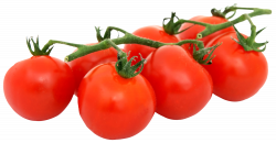 Bunch of Fresh Tomatoes PNG Image - PurePNG | Free transparent CC0 ...