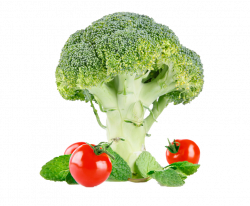 Broccoli Cauliflower Vegetable Clip art - broccoli tomatoes 1024*847 ...