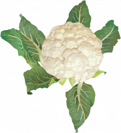 Cauliflower PNG Image - PurePNG | Free transparent CC0 PNG Image Library