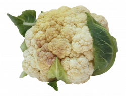 Cauliflower PNG Image - PurePNG | Free transparent CC0 PNG Image Library