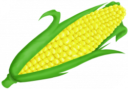 Free Corn On Cob Clip Art PNG - peoplepng.com