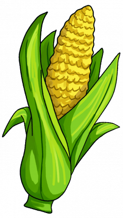 Corn on the cob Candy corn Maize Vegetable Clip art - corn 720*1280 ...