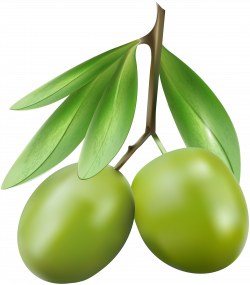 Green Olives PNG Clip Art Image | Gallery Yopriceville - High ...