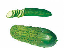 Cucumber West Indian gherkin Vegetable Clip art - Hand painted ...