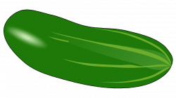 14 Cool Cucumber Free Vegetables Clipart - Fruit Names A-Z With Pictures