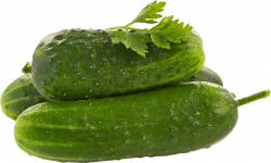 cucumber png - Free PNG Images | TOPpng