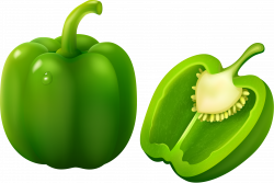 Green bell pepper (bulgarian pepper) on white background ...