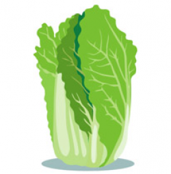 Free Vegetables Clipart - Clip Art Pictures - Graphics ...