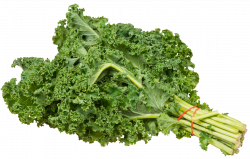 Kale Bundle PNG Image - PurePNG | Free transparent CC0 PNG Image Library