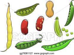 Vector Stock - Cartoon fresh legumes and vegetables. Stock ...