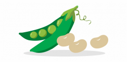 Pea Clipart Green Veggy - Vegetables And Legumes Clipart ...