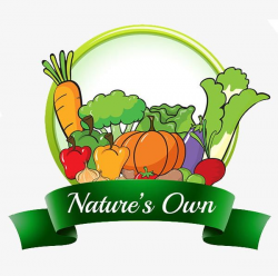 Hand-painted Vegetables Home Logo PNG, Clipart, Cartoon ...