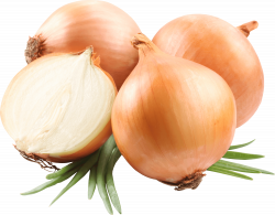 Red Onion transparent PNG - StickPNG