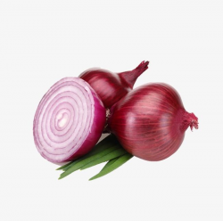 Onion PNG, Clipart, Onion, Onion Clipart, Vegetables Free ...