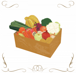 Large Fruit & Veg Box | One Organic