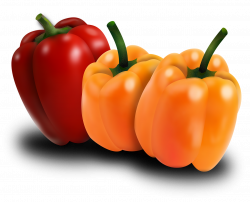 Food, Pimento, Peppers, Vegetables, Horta #food, #pimento, #peppers ...