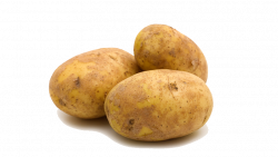 Potato Transparent PNG Pictures - Free Icons and PNG Backgrounds