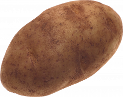 Potato High Quality PNG | Web Icons PNG