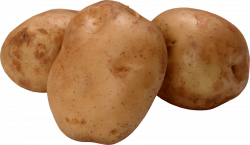 potato png - Free PNG Images | TOPpng