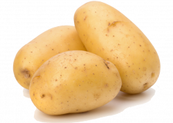 Potato PNG Transparent Images | PNG All