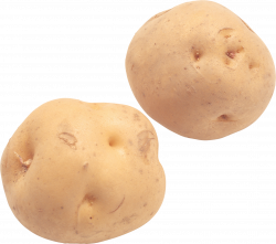 Potato PNG Picture | Web Icons PNG