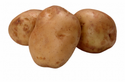 Potato Transparent Background Potato Pictures Of Vegetables ...
