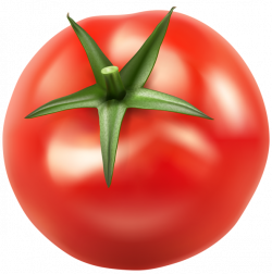 Tomatos PNG Clip Art Image | FRUIT AND VEGETABLES CLIP ART TWO ...
