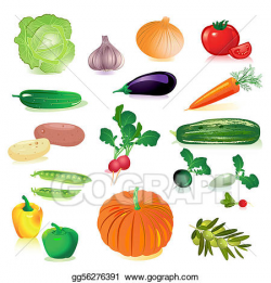 Vector Art - Set of raw vegetables. EPS clipart gg56276391 ...