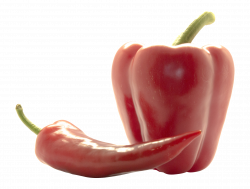 Bell Peppers PNG Image - PurePNG | Free transparent CC0 PNG Image ...