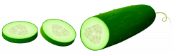 Transparent Sliced Cucamber PNG Clipart Picture | FRUIT AND ...