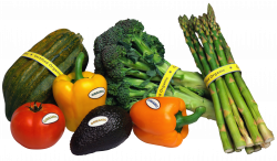 Organic Vegetables PNG Picture | Gallery Yopriceville - High ...